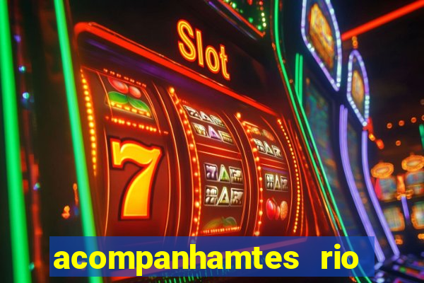 acompanhamtes rio de janeiro